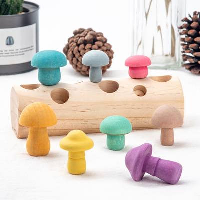เด็กของเล่นเก็บเห็ดไม้ Rainbow Blocks DIY 3D